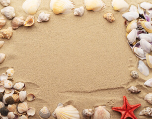 Seashells on a background of sand, beach sand.