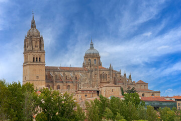 Fototapeta na wymiar hermosa catedral de la ciudad de Salamanca, España