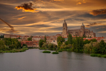 Fototapeta premium hermosa catedral de la ciudad de Salamanca, España