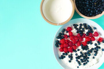 Cottage cheese with sour cream and berries and ingredients for its preparation on a light green background kopi space