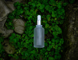 Transparent cosmetic bottle with a pipette lies on the grass
