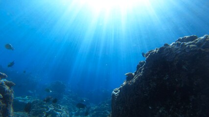 Fototapeta na wymiar 沖縄本島万座毛の海中からの幻想的な風景