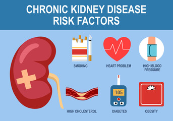 Chronic kidney disease risk factors infographic vector illustration. - obrazy, fototapety, plakaty