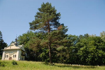 Obraz premium A chapel surrounded by fields and forests, Kalwaria Pacławska, Poland