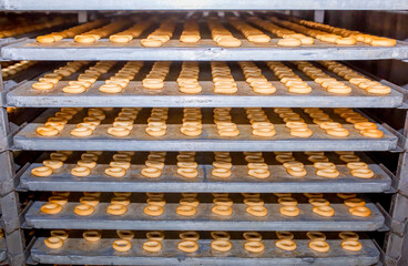 The bakery bread industry, candy factory, cookies and bagels or donuts do a lot at the bakery dessert factory, with a copy space