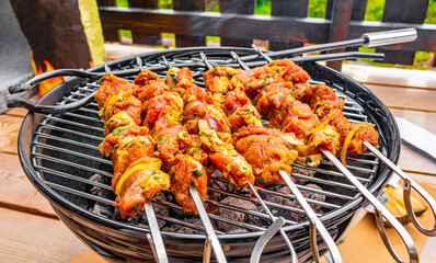 Russian shashlik with skewers on a round grill.
