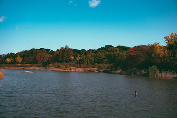 lake in autumn