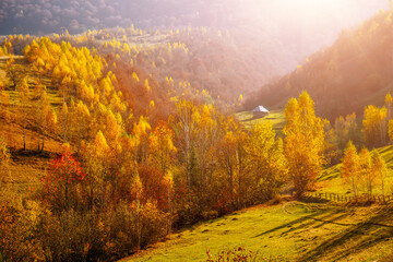 Incredible autumn landscape in sunny day. Location place of Carpathian mountains, Ukraine, Europe.