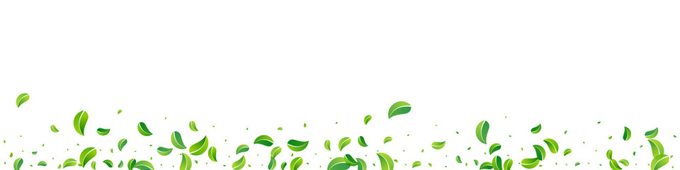 Grassy Foliage Tea Vector Panoramic White