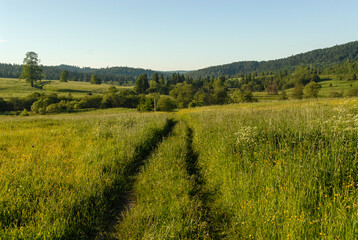 Fototapeta premium Dirt road among the green meadow, Bieszczady Mountains, Poland