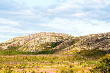 Summer, mountain landscape. Hills covered with reindeer lichen. Musta-Tunturi pass, Russia, Sredny peninsula