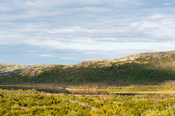Fototapeta premium Summer, mountain landscape. Hills covered with reindeer lichen. Musta-Tunturi pass, Russia, Sredny peninsula
