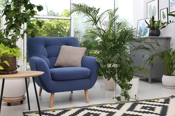 Comfortable armchair and beautiful houseplants in room. Lounge area interior