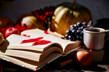 Cozy autumn background: open book with cup of tea, grapes, viburnum, pumpkin and cinnamon sticks on wooden table. Thanksgiving Day concept. Outdoor still life with trendy shadows.