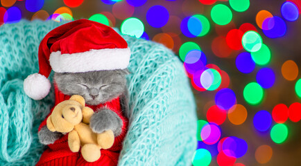 Cute kitten wearing warm sweater  and santa hat sleeps inside basket and hugs  toy bear. Top down view. Empty space for text