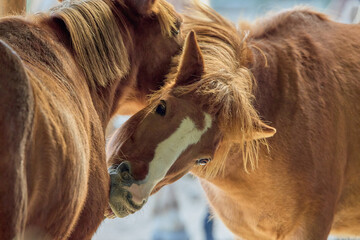 お互いを確かめる