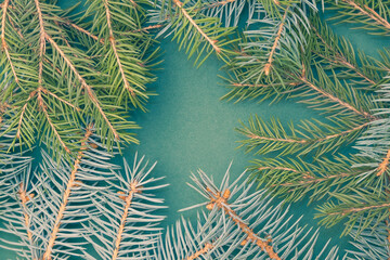 Christmas background made of branches of a Christmas tree. Flat lay, top view. Creative minimalistic Christmas background.