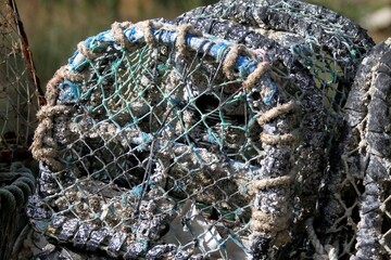 casier à homard sur la grande île,archipel de Chausey