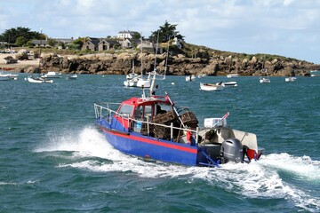 bateau de pêche au homard dans l'archipel des îles Chausey dans la Manche - obrazy, fototapety, plakaty