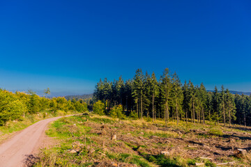 Herbstliches Ambiente auf den H&ouml;hen des Th&uuml;ringer Waldes bei Ruhla - Th&uuml;ringen