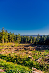 Herbstliches Ambiente auf den Höhen des Thüringer Waldes bei Ruhla - Thüringen