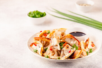 Fried dumplings served with green onions.