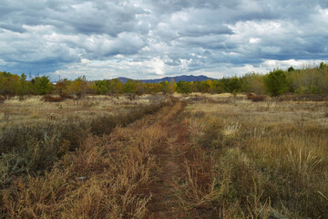 Autumn steppe landscape. Landscape in kazakhstan. Kazakh steppe. Blue sky. Yellow grass. Country road. Forest Steppe