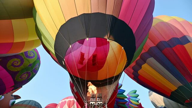Colorful hot air balloons flying preparation in annual festival