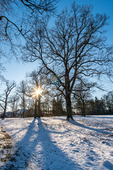 Fototapeta premium Snow-covered Princely Hohenzollern Park Krauchenwies and Ablacher See