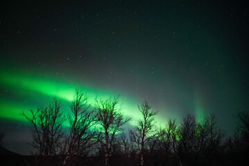 Fototapeta na wymiar aurora borealis northern lights lapland 