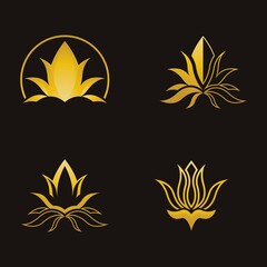 Fototapeta na wymiar Lotus logo icon set