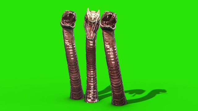 Three Dragons Snake Green Screen Attacks 3D Loop Rendering Animation