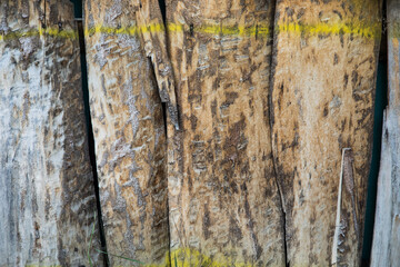 brown wood planks as background