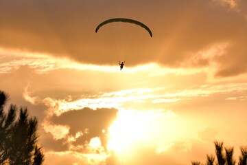 Naklejka na ściany i meble paragliding at sunset at the 