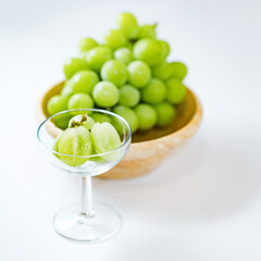 Shine Muscat Japanese favorite autumn fruits
