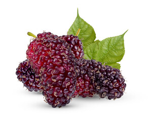 Fresh mulberry with leaves isolated on white background