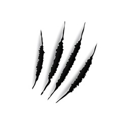 Animal claw mark scratches. Predator, bird of prey or monster paw slash attack ripping paper, breaking through wall realistic vector background. Wild animal, horror beast or cat sharp claws damage