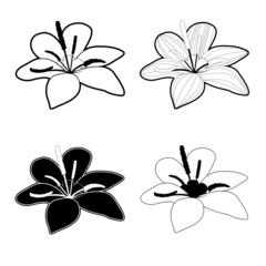 Fototapeta premium Flower icon black and white