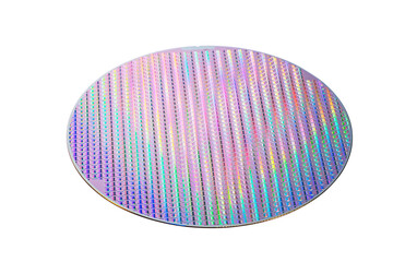 Silicon wafer with chips isolated on white background - obrazy, fototapety, plakaty