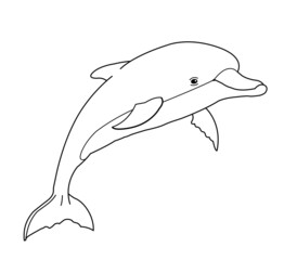 delfin saltando dibujo con líneas vector © palomadelosvientos