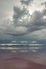 Salt Crystal in a Pink Salt Lake with a Reflection of a Cloudy Rainy Sky