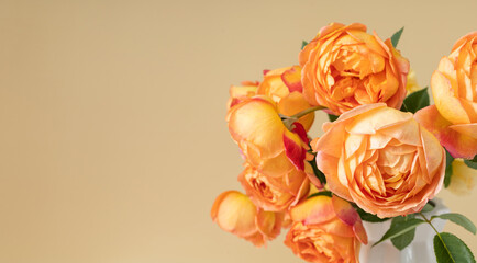 Beautiful rose flowers in modern vase