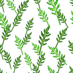 Seamless pattern bunch arugula salad on white background. Simple ornament with lettuce.