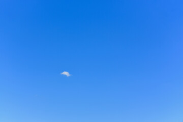 There is a lonely little cloud in the clear sky with copy space for text