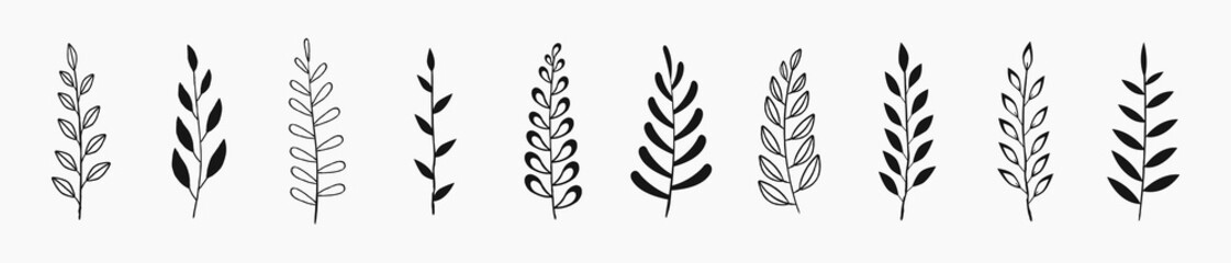 Set of black laurels branches. Flower ornament dividers collection. Vintage laurel wreaths. Hand drawn vector laurel leaves decorative elements. Leaves, swirls, award, icon. Vector illustration.