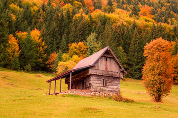 Fototapeta na wymiar Moieciu de Sus, Brasov county, Romania. Rural autumn landscape in the Carpathian Mountains