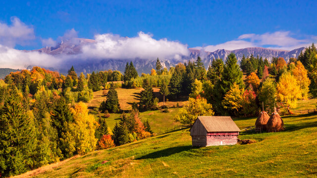 Moieciu de Sus, Brasov county, Romania. Rural autumn landscape in the Carpathian Mountains