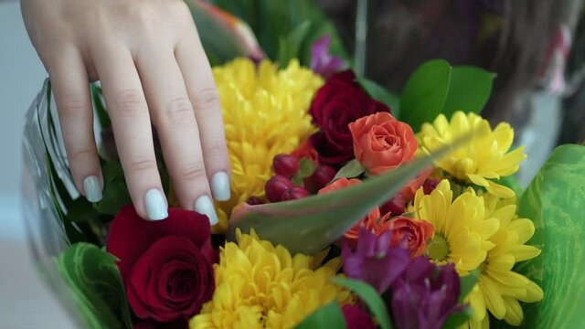 Woman Hand Touching a Bouquet Of Flowers Colorful Closeup