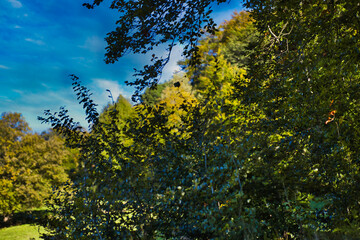 Blauer Himmel und bunte Bäume.