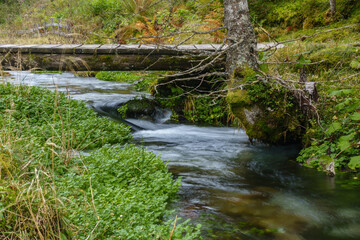 Naklejka na ściany i meble Holzbrücke bei einem Wanderweg durch einen herbstlichen Wald im Tourismusgebiet Zillertal in Tirol